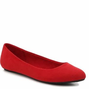 Red Dyed Shoe